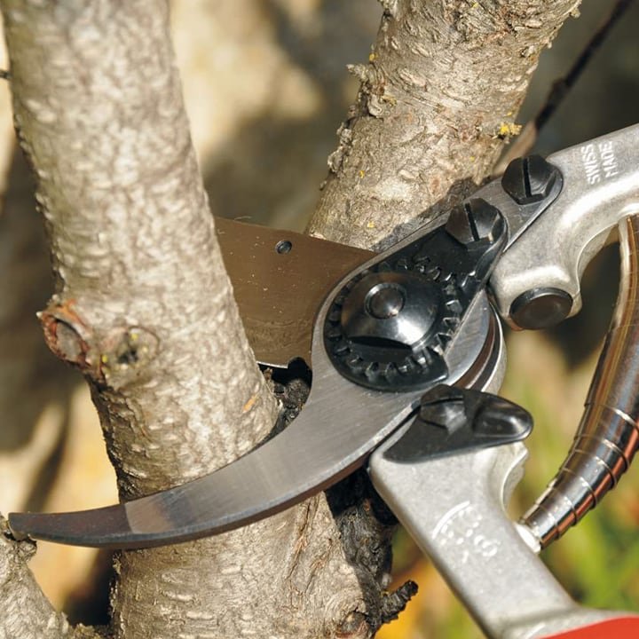 Felco 13 FM13 Secateurs - Godfreys of Sevenoaks