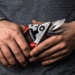 Felco 8 L117 Secateurs
