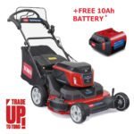 toro 21876