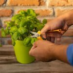 Stiga Pruning Snips