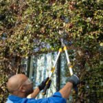 Stiga Telescopic Hedge Shears