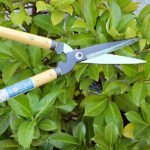 Nishigaki N-370 Karikichi Hedge Shears