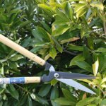 Nishigaki N-375 Karikichi Hedge Shears