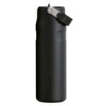 Stanley Iceflow Flip Straw black