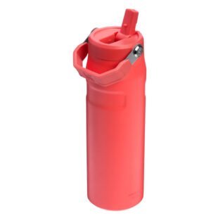 Stanley Iceflow Flip Straw coral