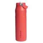 Stanley Iceflow Flip Straw coral