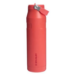 Stanley Iceflow Flip Straw coral