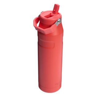 Stanley Iceflow Flip Straw coral