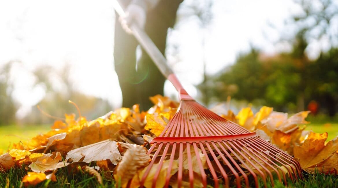 raking leaves