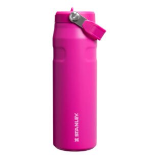 Stanley Iceflow Flip Straw Violet