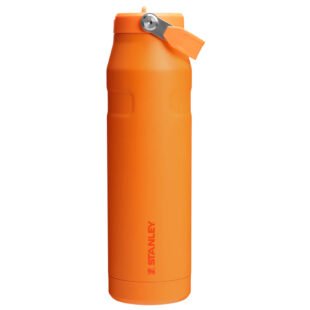 Stanley Iceflow Flip Straw Coral