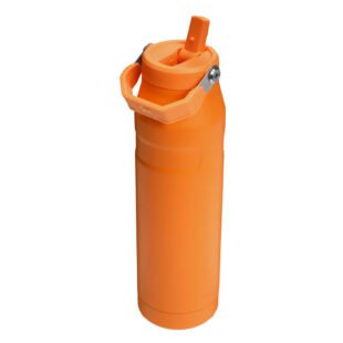 Stanley Iceflow Flip Straw Coral