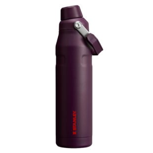 Stanley Aerolight Iceflow plum
