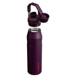 Stanley Aerolight Iceflow plum