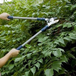 Spear & Jackson 4826RSA Anvil Lopper