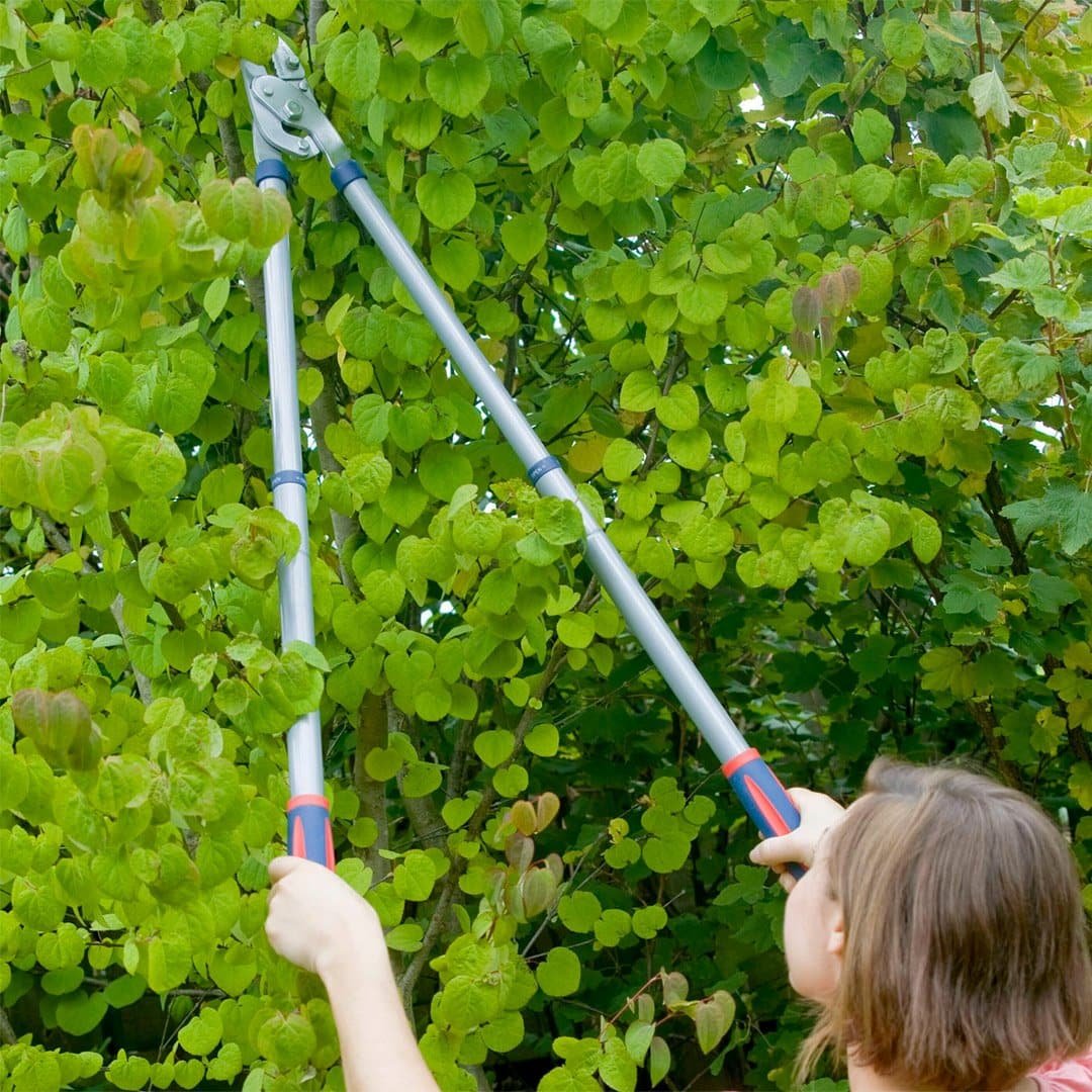 4902rss-03 Spear and Jackson 4902RSS Steel Telescopic Anvil Lopper