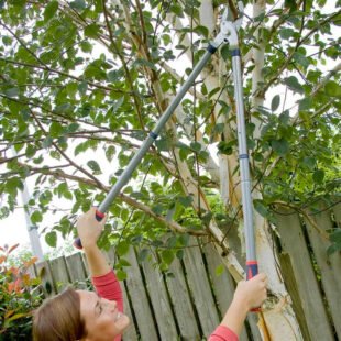 Spear & Jackson 4903RSS Telescopic Bypass Loppers