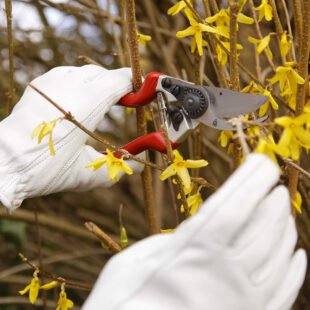 Spear & Jackson 6459BS