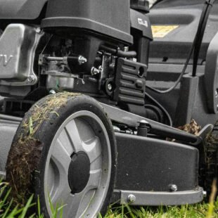 Weibang Virtue 53 ASDX BBC LV