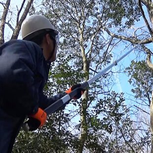 Nishigaki N-762 Super Polesaw